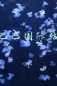 阿里巴巴国际站下载