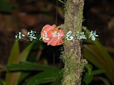 小家庭群名温馨
