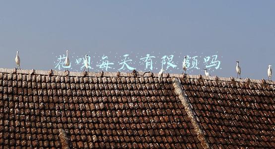 花呗每天有限额吗