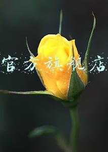 耐克官方旗舰店正品