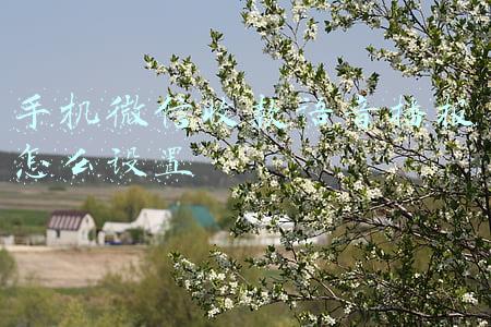 手机微信收款语音播报怎么设置