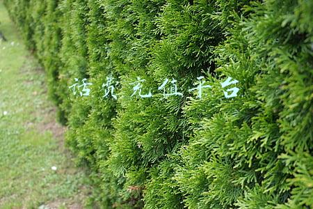 话费充值平台入口(话费充值接口 你了解多少？)