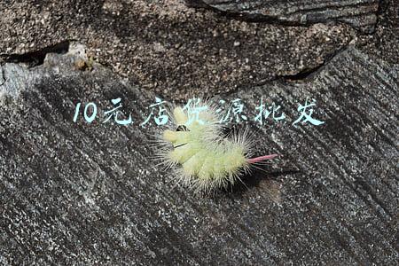 10元店货源批发