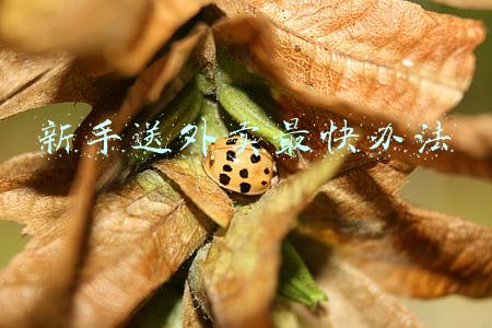 新手送外卖最快办法视频(付出越大，得到的越大，第四天(上半场)送外卖，单少钱不少)