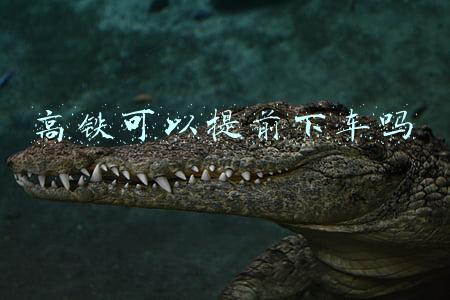 高铁可以提前下车吗出站吗(重要提醒，疫情防控需要，明日起，杭州火车东站出站有变化)