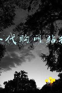 海外代购网站排行美国(“海淘”有风险)