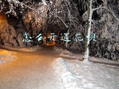 怎么开通花呗