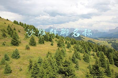 沙雕群聊名称