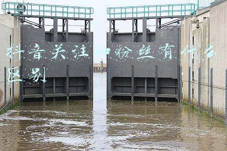 抖音关注和粉丝有什么区别