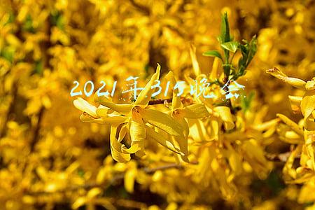 2021年315晚会