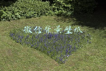 微信背景壁纸