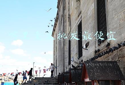 哪里童装批发最便宜