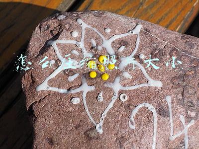 怎么压缩照片大小 怎么压缩照片大小