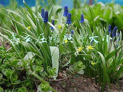 怎么压缩照片大小