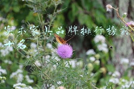 实木家具品牌排行榜前十名
