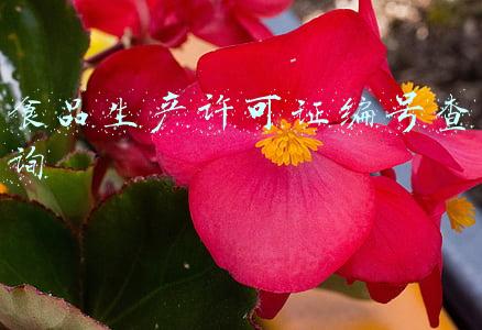 食品生产许可证编号查询