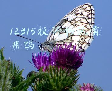 12315投诉物流有用吗