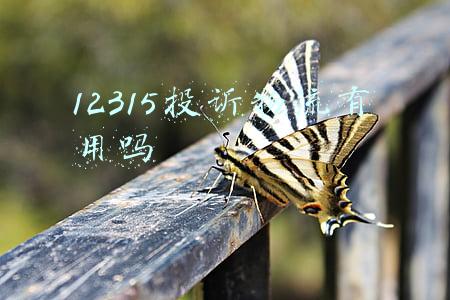 12315投诉物流有用吗