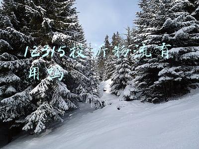 12315投诉物流有用吗
