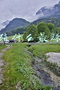 养殖什么最赚钱
