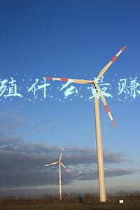 养殖什么最赚钱