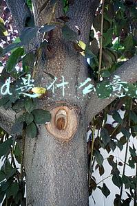 pid是什么意思