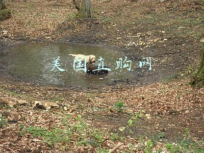 美国直邮中国要多久(快递邮寄到美国一般要多久？)