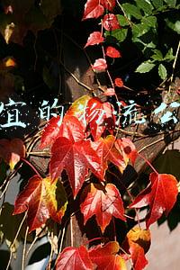 便宜的物流公司