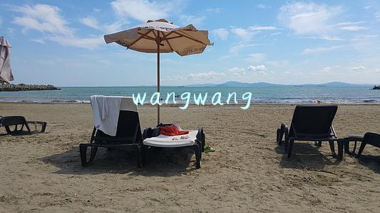 wangwang