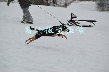 高清微型摄像 高清微型摄像