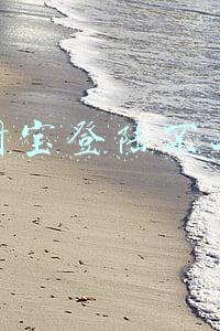 支付宝登陆不上去