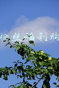 粉丝福利购