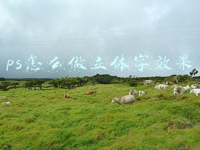 ps怎么做立体字效果