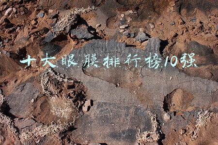 十大眼膜排行榜10强