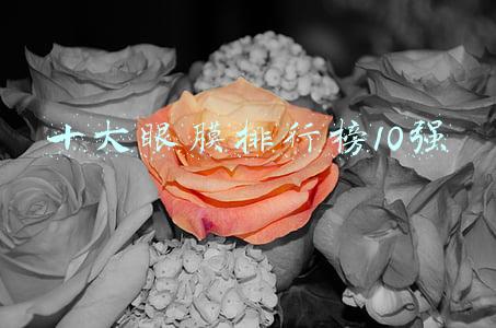 十大眼膜排行榜10强