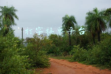 打字接单平台