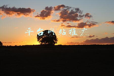 平台推广营销(做好线上教育平台核心五环节（四）： 推广营销揭秘)