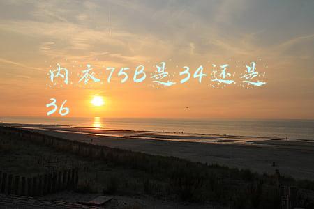 内衣75B是34还是36