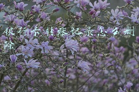 银行卡转账记录怎么删除