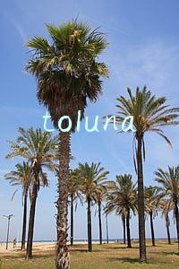 toluna调查网官网(你被这些网络兼职坑过吗？)