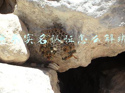 京东实名认证怎么解绑