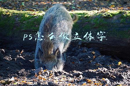 ps怎么做立体字