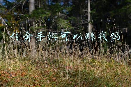 传奇手游可以赚钱吗