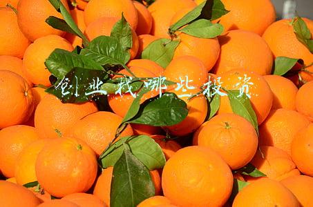 创业找哪些投资