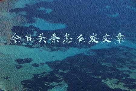 今日头条怎么发文章 今日头条怎么发文章