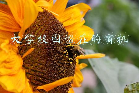 大学校园潜在的商机ppt(快看下沉市场的8大机遇，创业新风口！（36页PPT详解）)