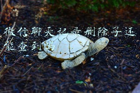 微信聊天记录删除了还能查到吗 微信聊天记录删除了还能查到吗