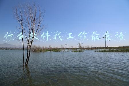 什么软件找工作最靠谱