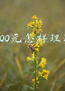 1000元怎样理财收益最高(美湾盛世1000元怎么理财)