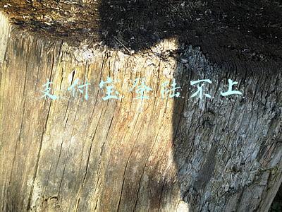 支付宝登陆不上